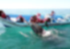 La demanda por experiencias en el mar, como paseos en yate, buceo y pesca deportiva, ha generado un crecimiento del 18% en operadores turísticos de la capital sudcaliforniana.