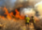 IncendiosBCS