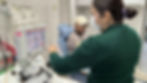 Jornada de Donación Altruista de Sangre IMSS Baja California Sur