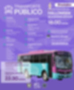 Suspensión del transporte público en La Paz por Halloween